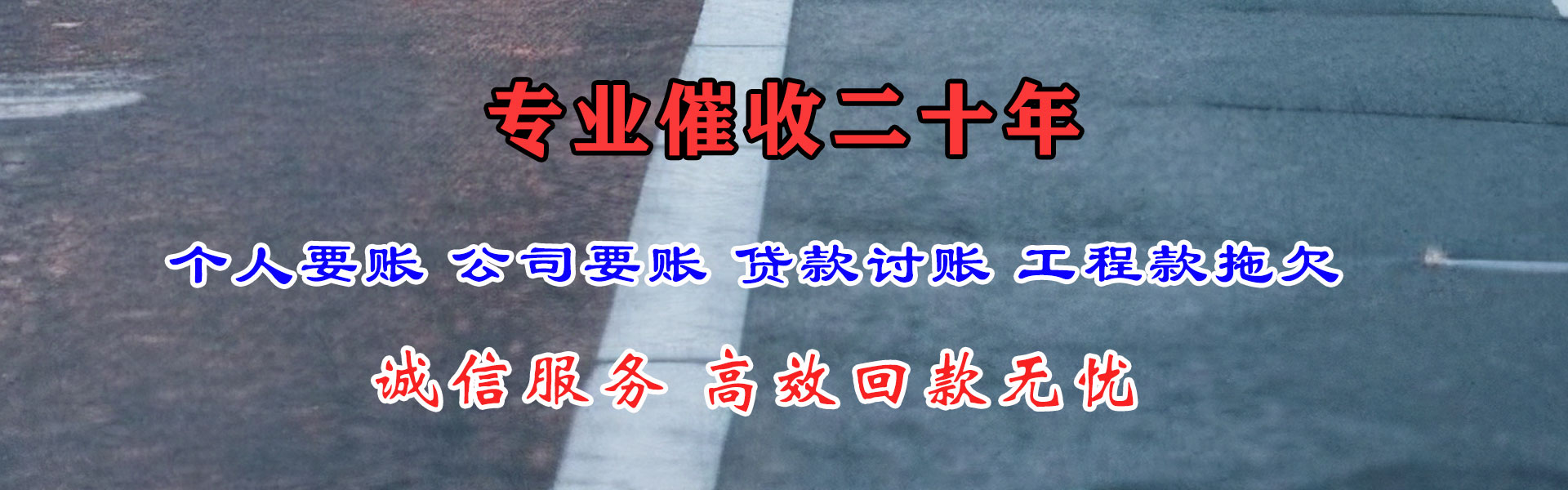 利津清账公司
